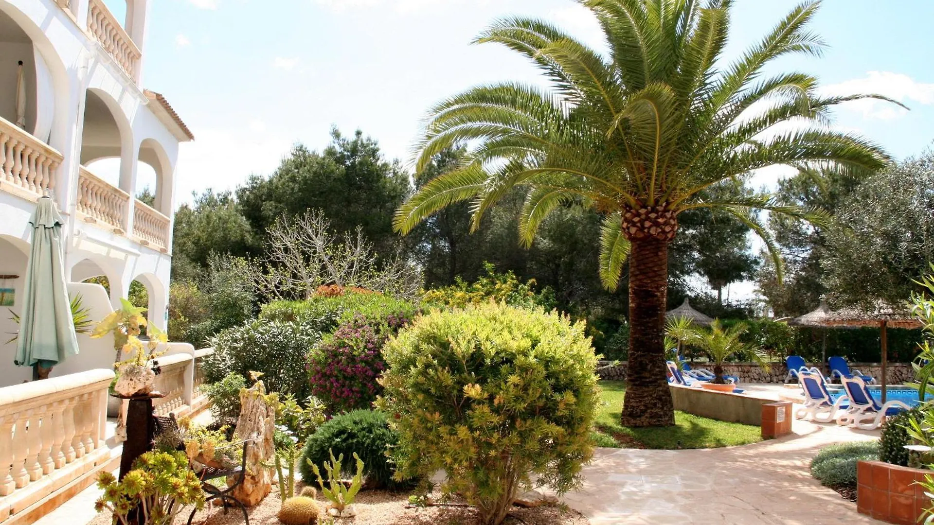סנטני La Ardilla By Dracmallorca